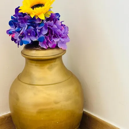 Apartament Il Girasole Sul Mare